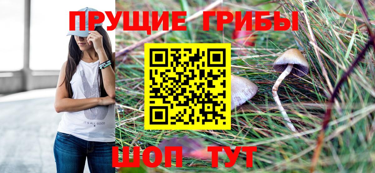 Мефедрон кристаллы  Гашиш  Вход с VPN  Алейск  Экстази  Лсд 25  Меф  Бошки Шишки 